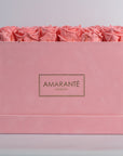 Blushing light pink roses imbedded in an alluring pink box 