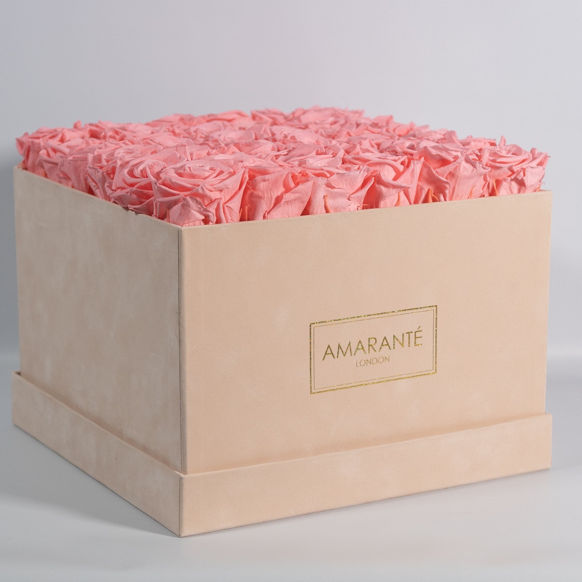 These Roses will symbolise care, beauty, and love.