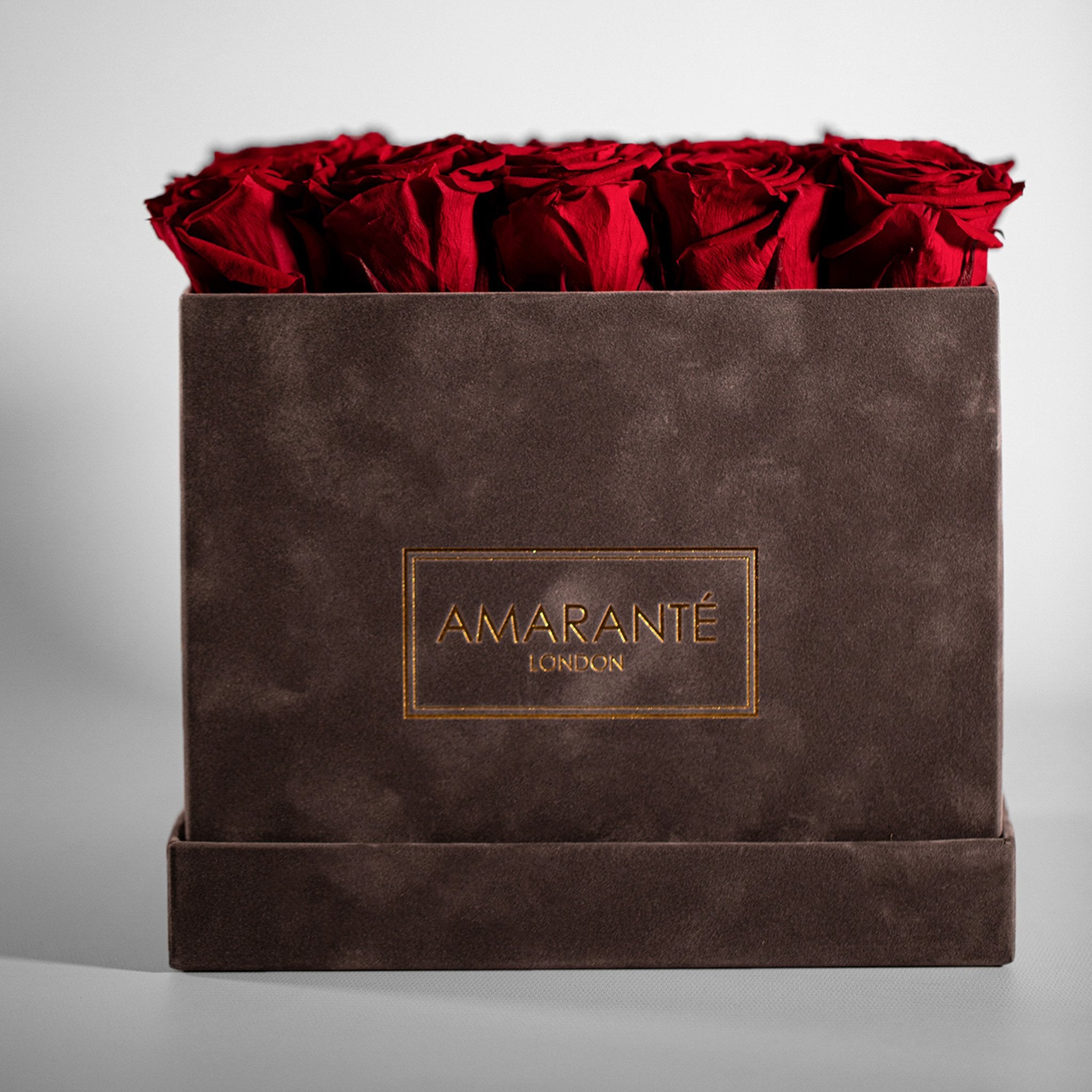 Enchanting red Roses connoting love, romance, and courage 