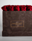 Enchanting red Roses connoting love, romance, and courage 