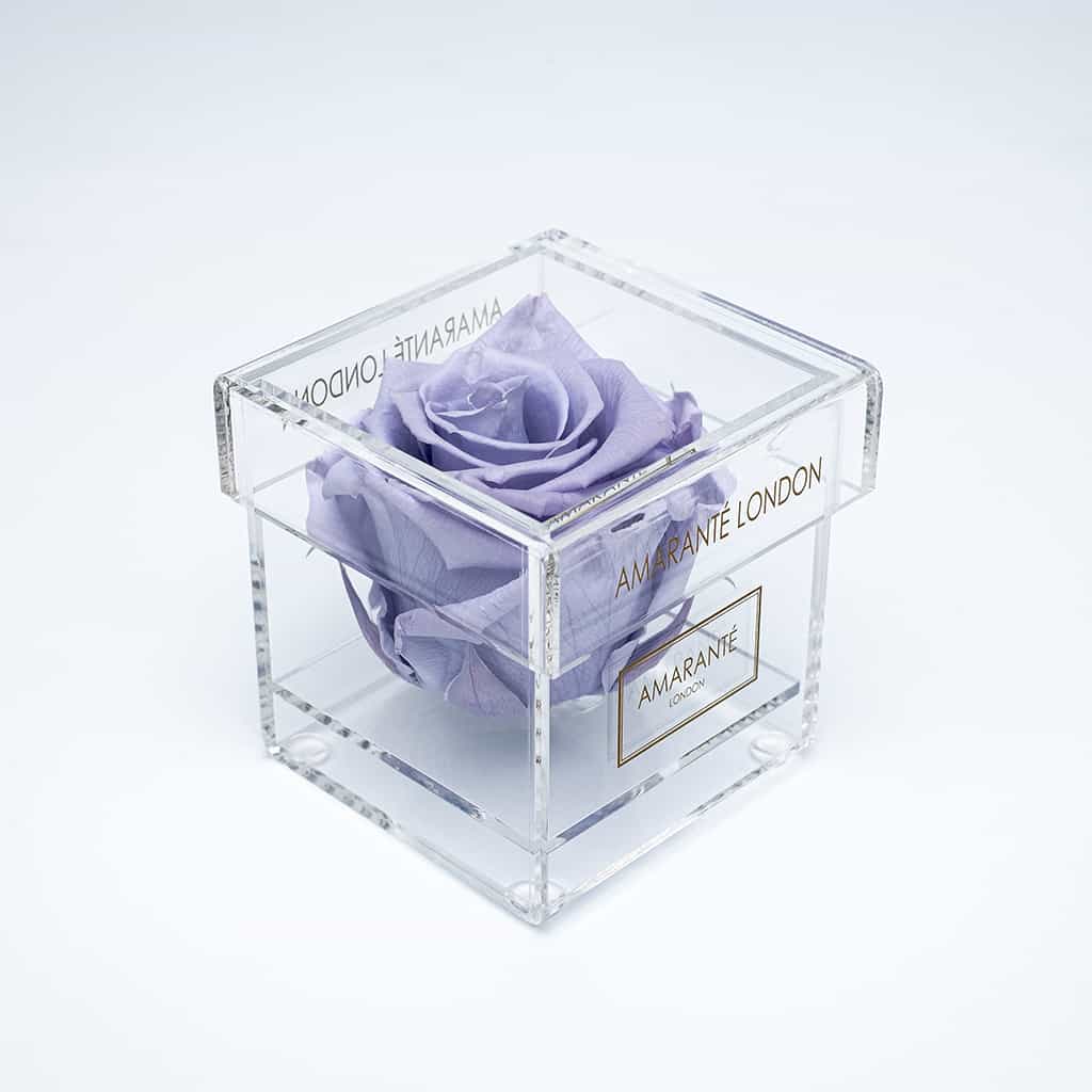 Exquisite lavender single rose in a transparent acrylic box, delivering timeless memories of romance to celebrate special occasions - Free UK Delivery!