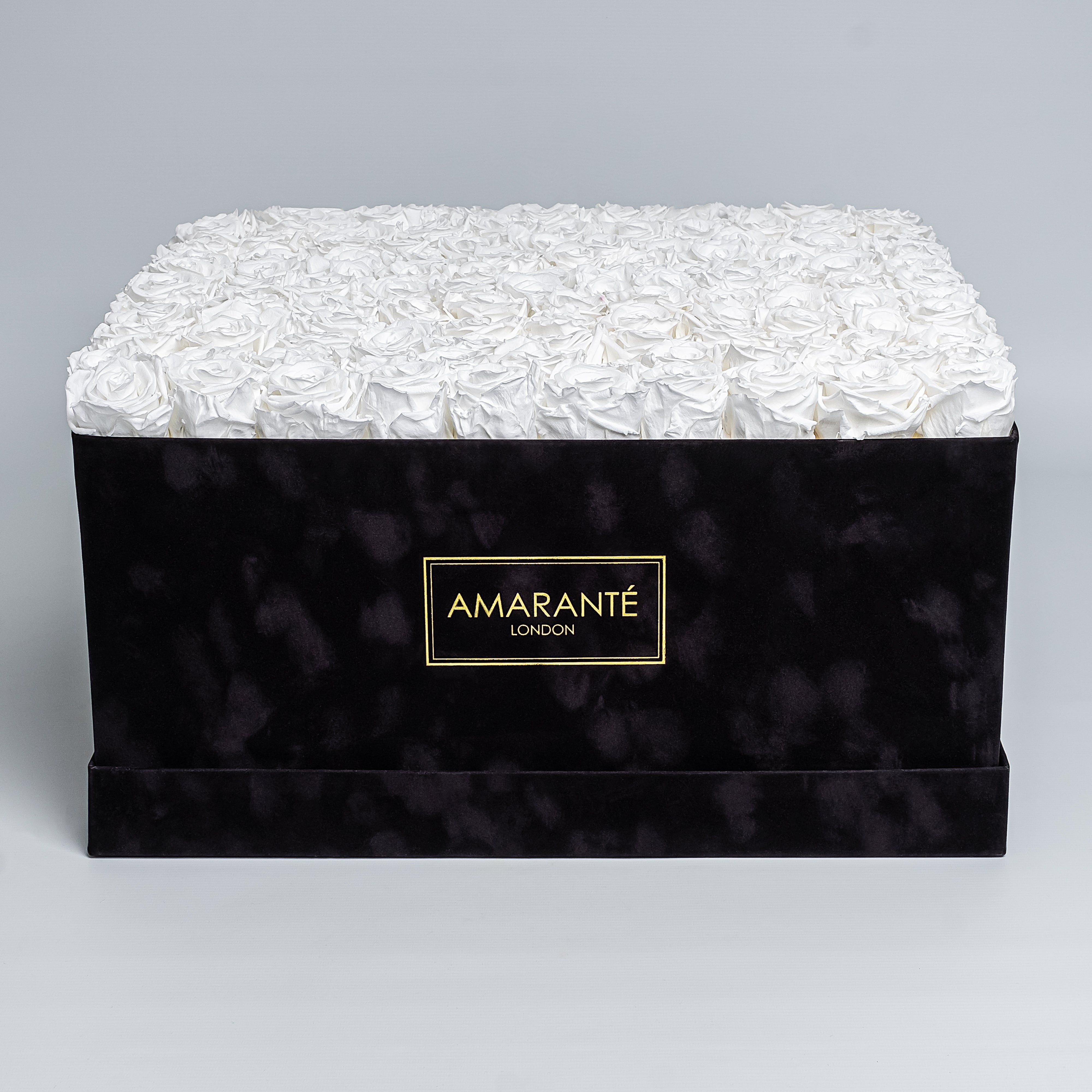 Super deluxe black square suede rose box, 20"x20", with 150 large white infinity roses.