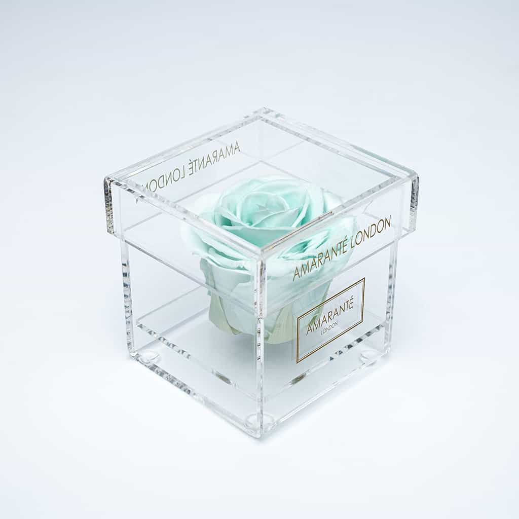 Trendy, classy gift of a mint green single infinity rose in an exquisite acrylic rose box, free UK delivery.