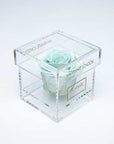 Trendy, classy gift of a mint green single infinity rose in an exquisite acrylic rose box, free UK delivery.