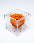 Exquisite orange single rose in an enchanting transparent acrylic box, ideal for Valentine's Day and other memorable romantic events.