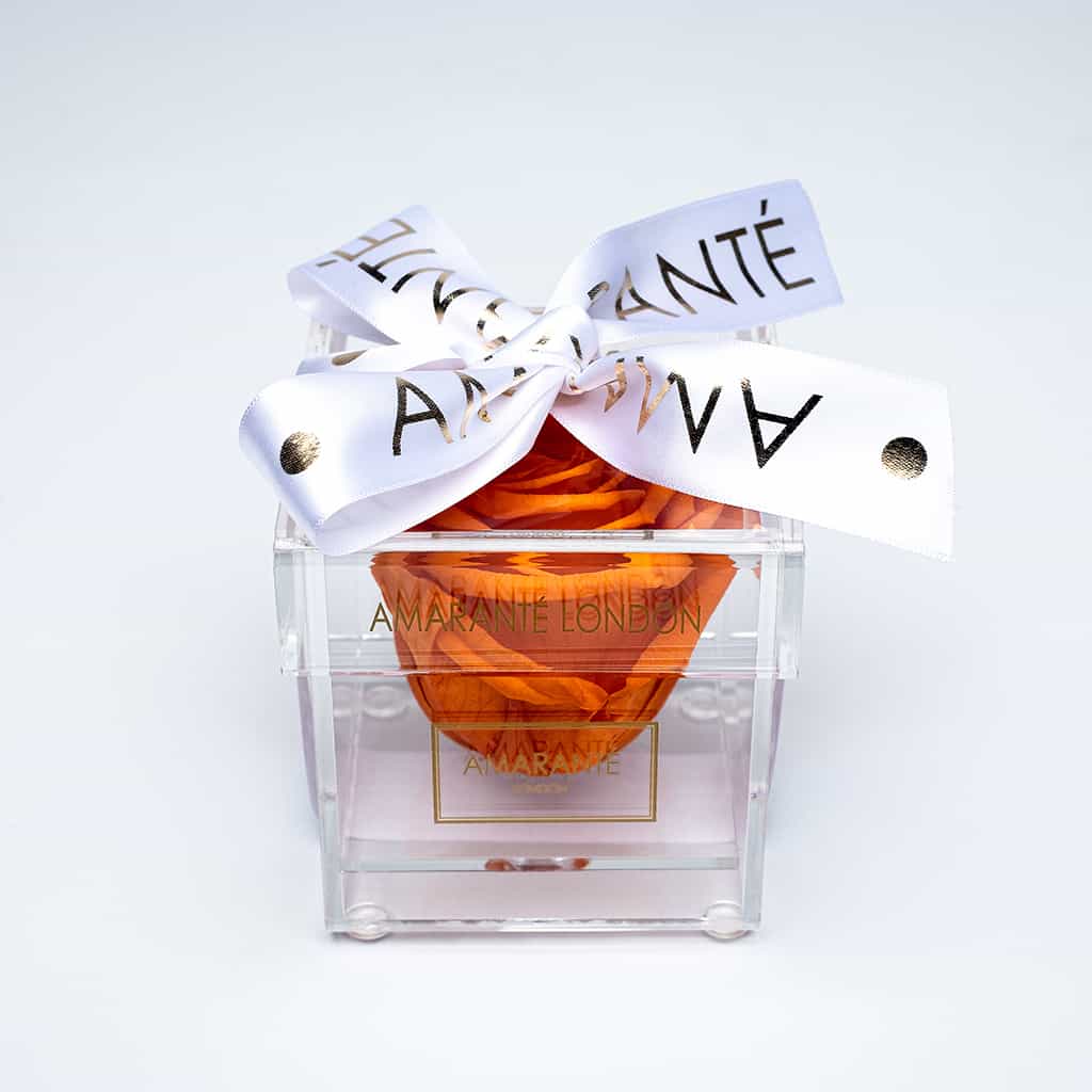 Orange single infinity rose in an enchanting transparent acrylic box, dressed with a delicate white ribbon - the perfect gift for Valentine&#39;s Day and other memorable romantic events.