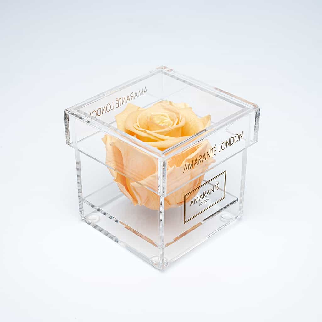 Show your refined taste with an exquisite peach single infinity rose in a chic and polished acrylic box.