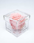 Delicate light pink rose displayed in a magical clear box 