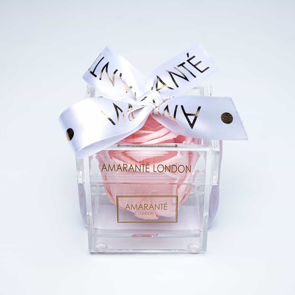 Timeless pink single infinity rose in a sleek acrylic box, dressed with stylish white ribbon - Amaranté London