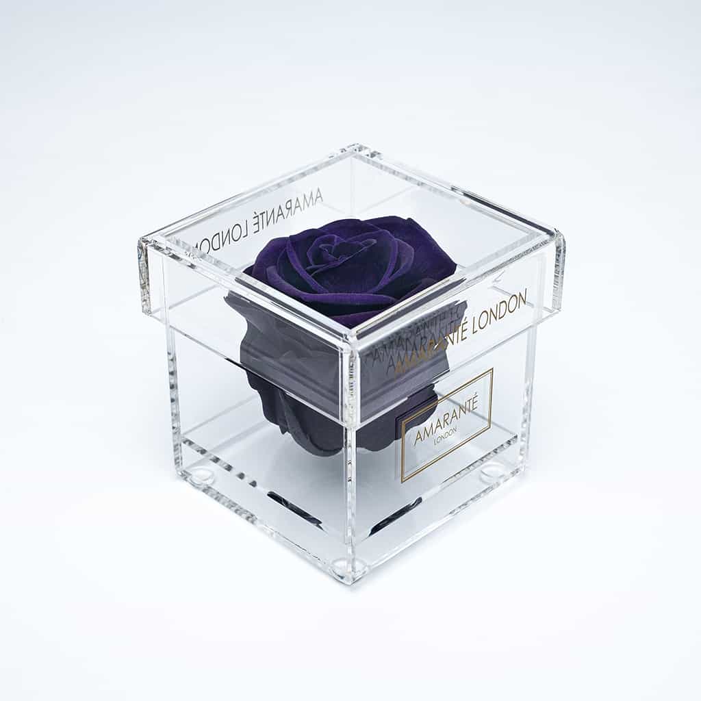 Magical dark purple rose displayed in a majestic clear box 