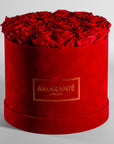 Alluring red Roses in a divine red suede hatbox