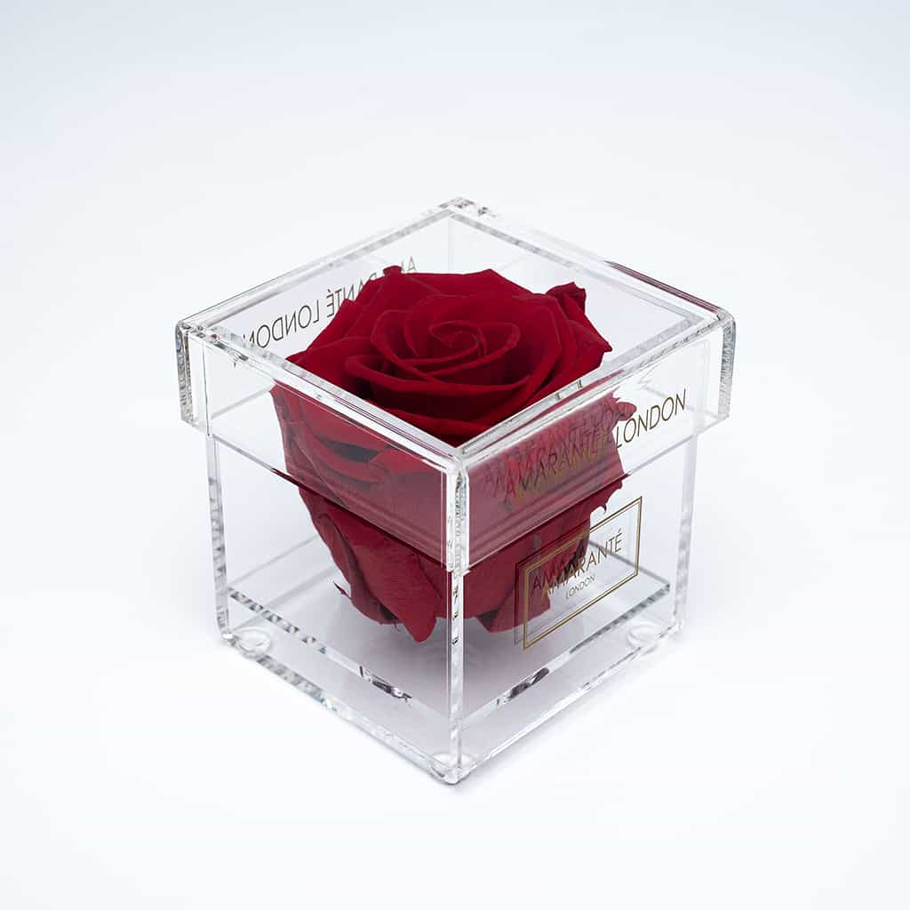 Single red infinity rose in a transparent acrylic square jewellery box, delivering timeless elegance for special occasions - free UK delivery.