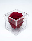 Single red infinity rose in a transparent acrylic square jewellery box, delivering timeless elegance for special occasions - free UK delivery.