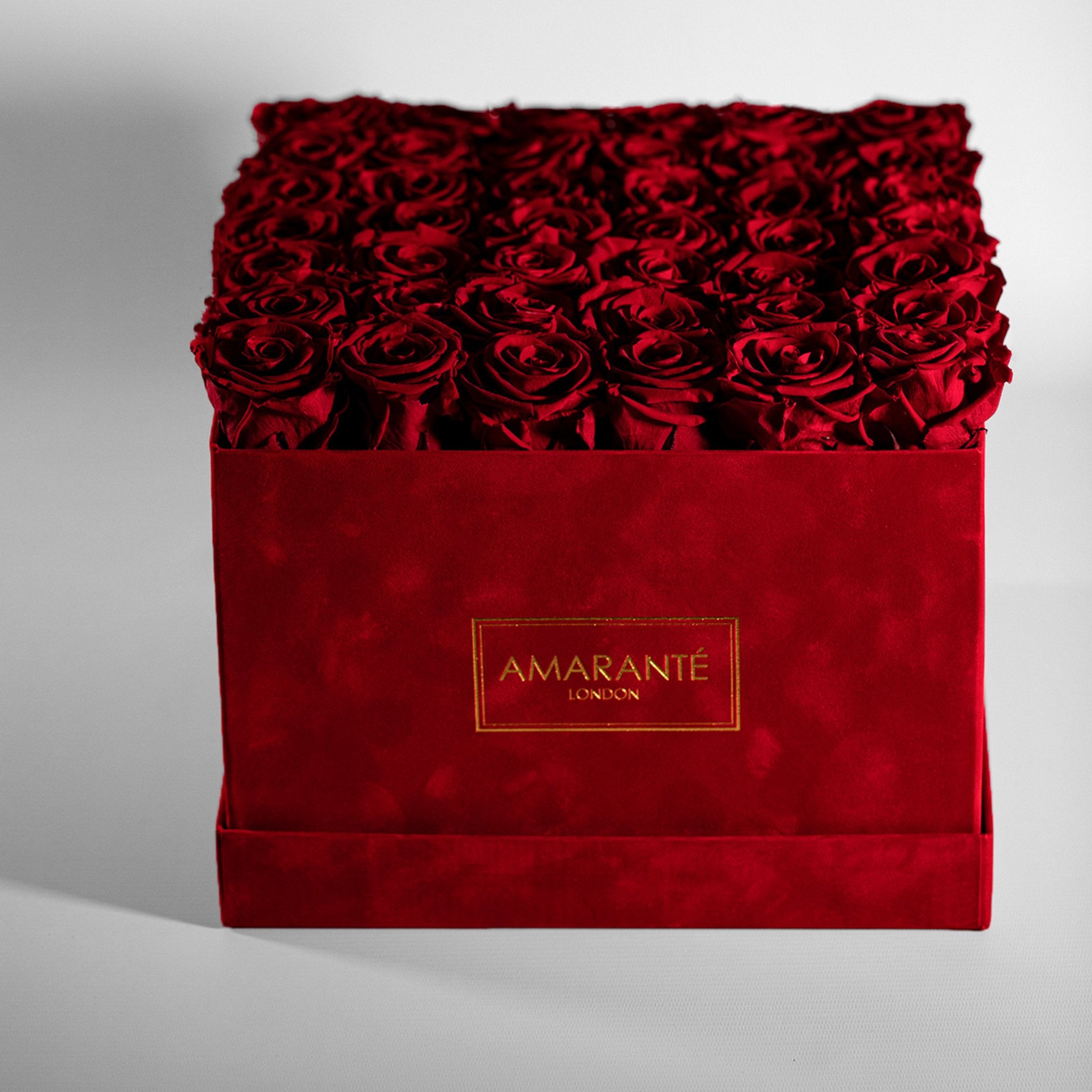 Divine red roses embedded in a fiery red box in extra large and square size 