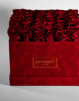 Divine red roses embedded in a fiery red box in extra large and square size 