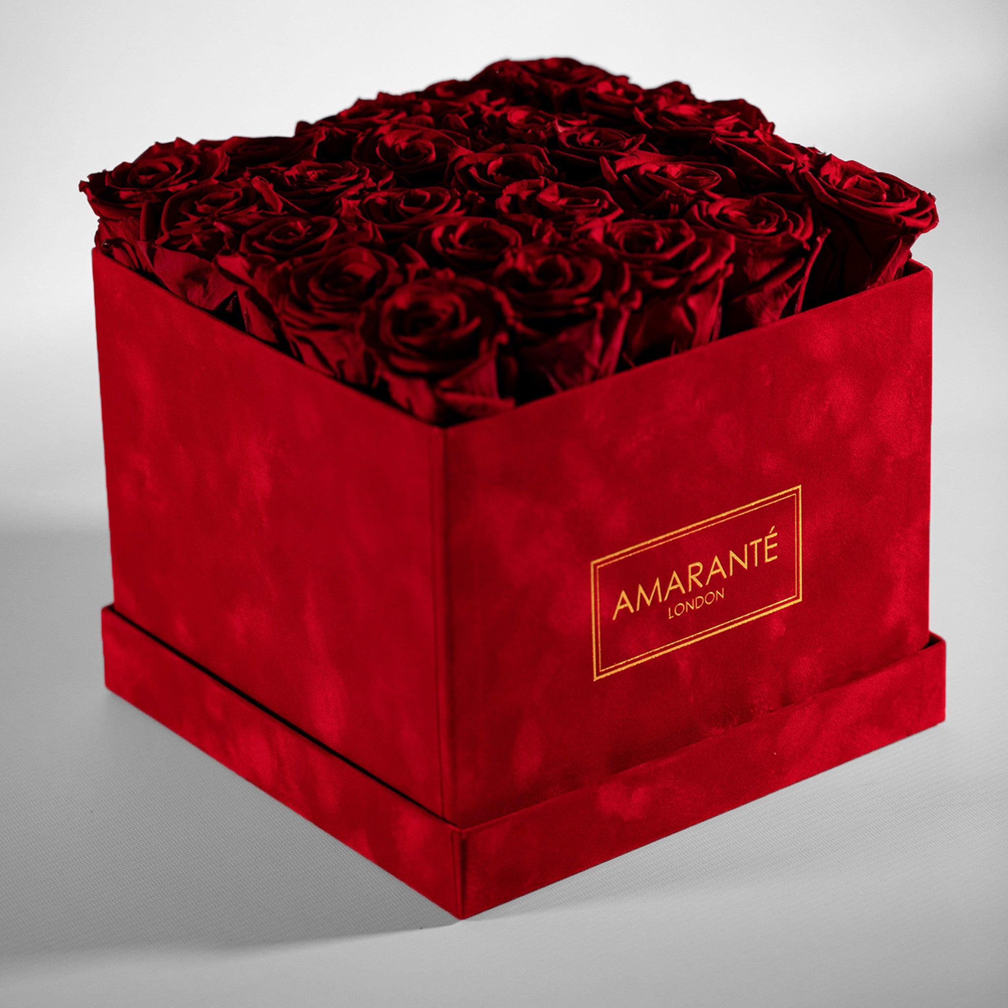Gorgeous red Roses photographed in a divine red large square box 