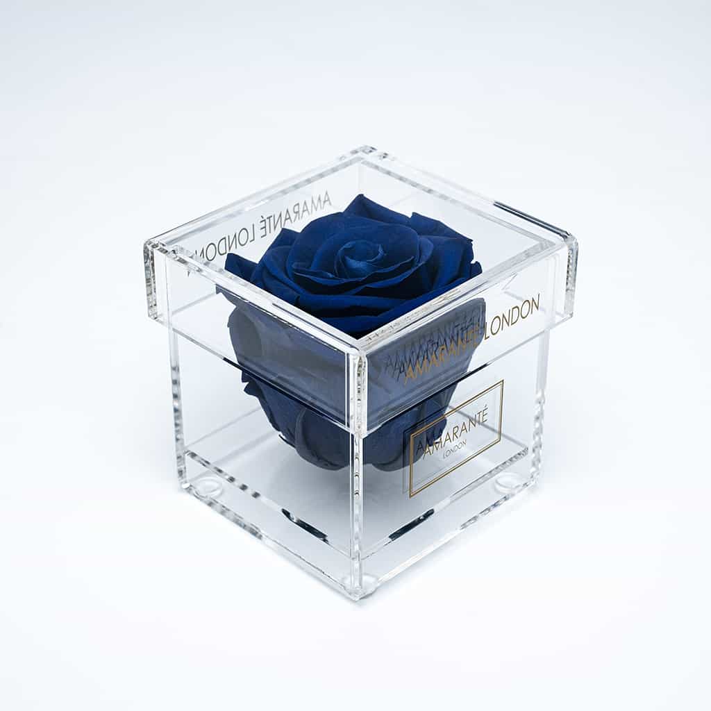 Luxurious royal blue rose featured in a modern box 