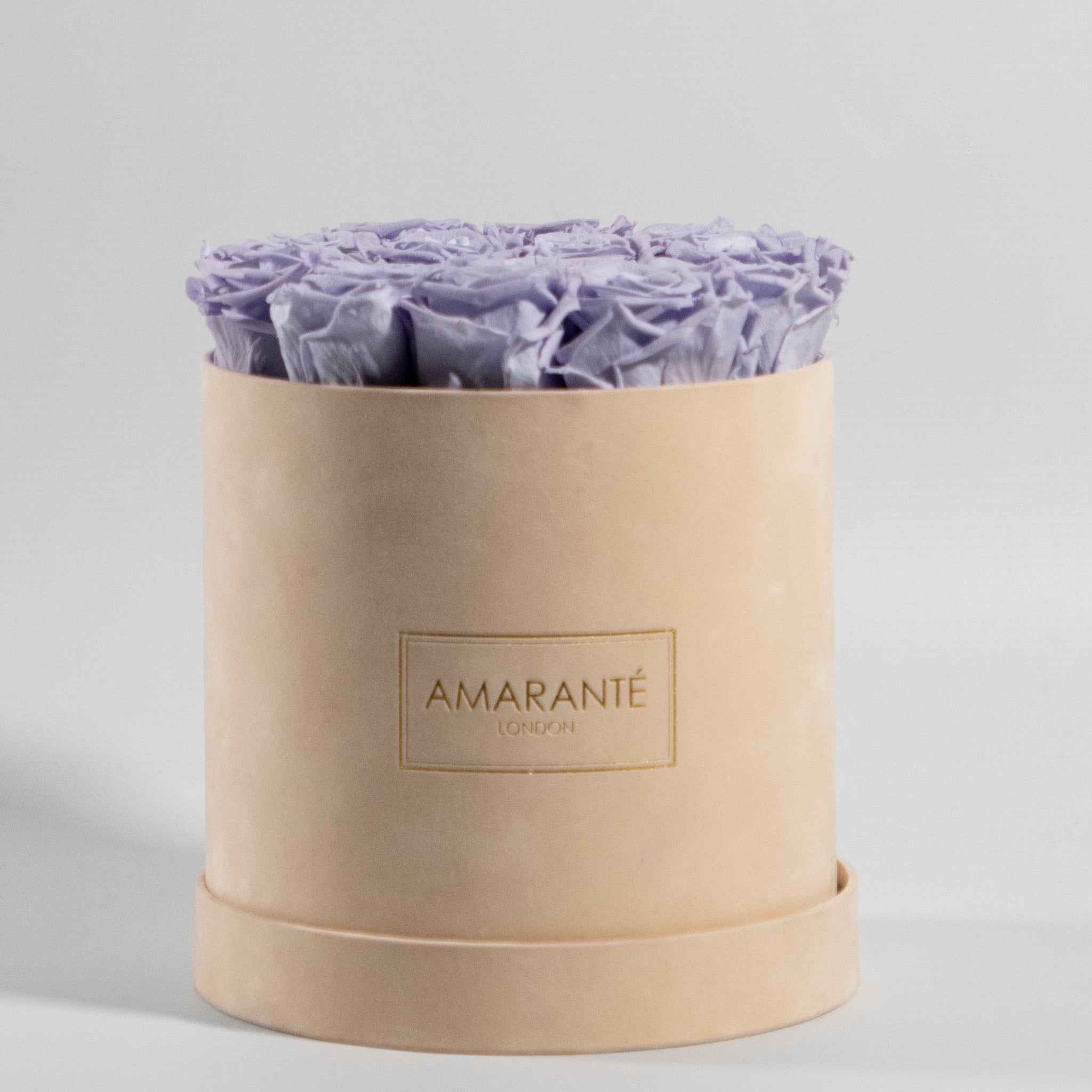 Gorgeous lavender roses displayed in a sleek beige box. 