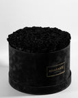 Monochromatic black Roses in a dapper black extra large box, ideal for saying sorry. 