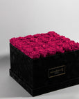 Playful hot pink Roses, in a stlyish black box, expressing tenderness, care,  and joy. 