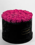 Blushing dark pink Roses in a dapper black box, the perfect way to say I love you. 