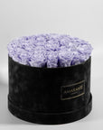 luxurious Lavender Roses in a chic black pack, symbolising care and protection. 