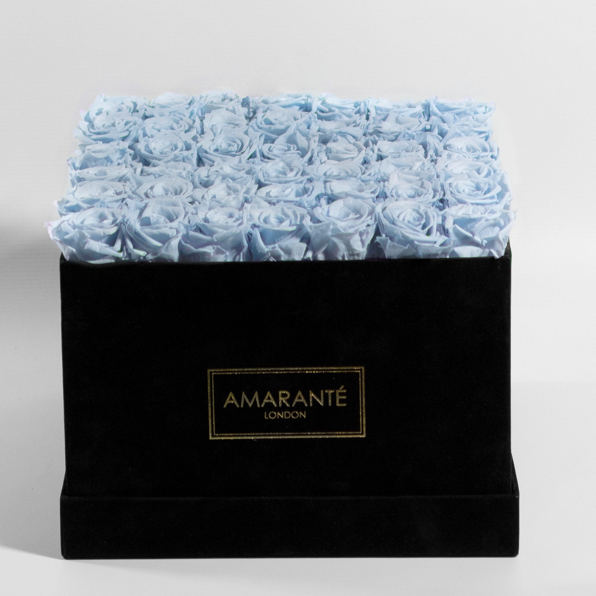 Cool light blue Roses in a modern black extra box, implying protection and security. 
