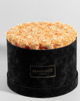 Majestic peach Roses in a stylish black box, ideal for expressing friendship and adventure. 