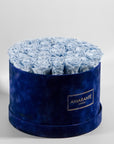 Magical light blue roses in a dark blue box, denoting protection, security, and health. 