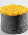 Delightful yellow Roses in a vogueish grey package denoting friendship and warmth. 