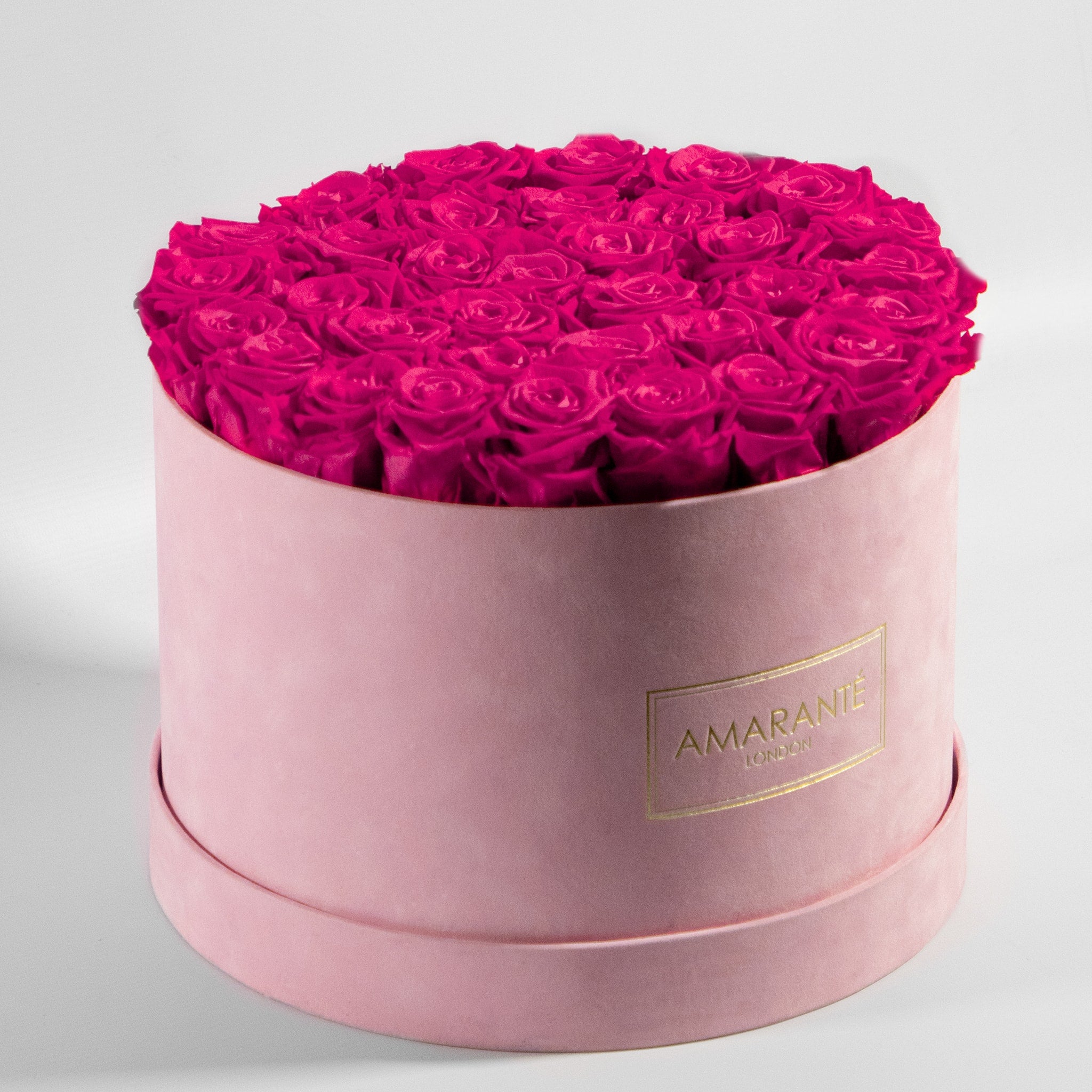 Magical hot pink Roses in a blushing pink package. 