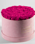 Magical hot pink Roses in a blushing pink package. 