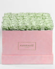 Revitalising mint green roses imbedded in a soft pink box  