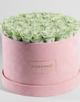 Revitalising mint green Roses, displayed in an idyllic pink box 