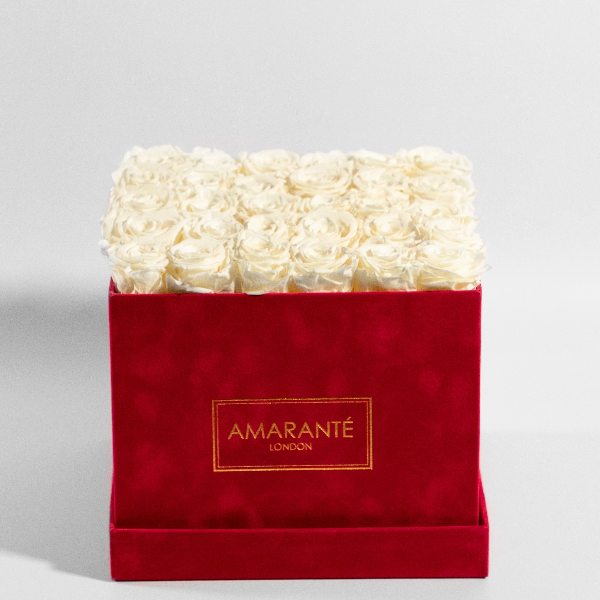 Majestic champagne coloured Roses featured in a red suede box