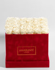 Majestic champagne coloured Roses featured in a red suede box