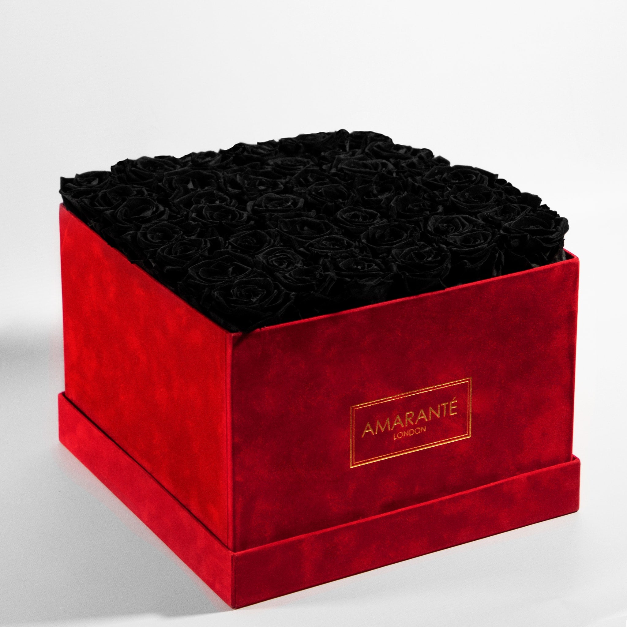 Bold black roses in a captivating red extra large box 