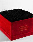 Bold black roses in a captivating red extra large box 