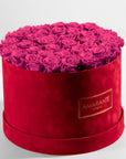 Enchanting hot pink roses accessible in a modern red box, great for expressing care, sympathy, and playfulness. 