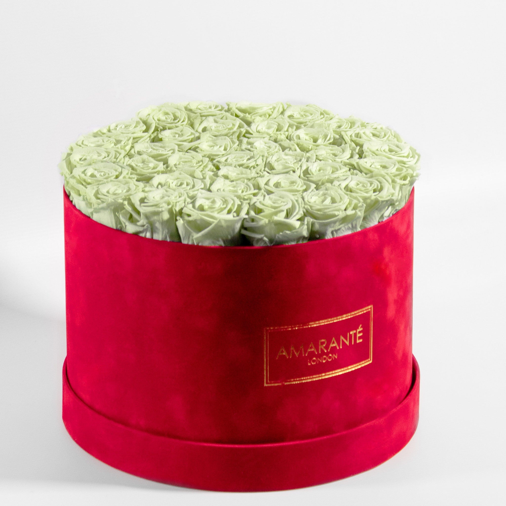 Revitalising mint green roses imbedded in a dapper red box, connoting energy, luck, and nature. 