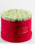 Revitalising mint green roses imbedded in a dapper red box, connoting energy, luck, and nature. 