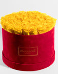 Delightful Yellow Roses in a gorgeous red pack, the perfect choice for a friend. 