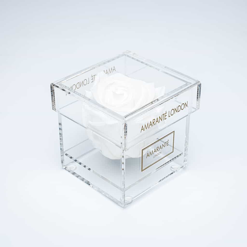 Mesmerising pure white single infinity rose in a trendy transparent acrylic box, an expression of timeless grace.
