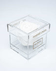 Mesmerising pure white single infinity rose in a trendy transparent acrylic box, an expression of timeless grace.