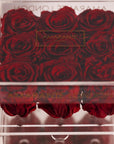 Abloom red Roses, ideal for a significant other, connoting courage and determination. 