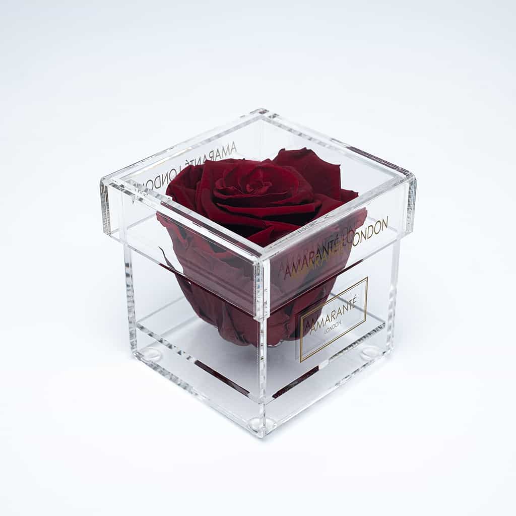 Timeless gift of affection, a deep red single infinity rose in a luxury acrylic box.