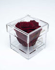 Timeless gift of affection, a deep red single infinity rose in a luxury acrylic box.