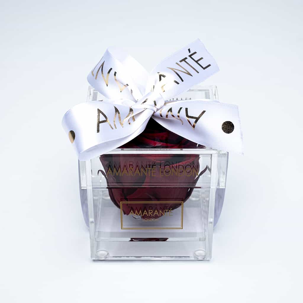 Luxurious deep red single infinity rose in an acrylic box dressed with stylish white ribbon, a perfect Valentine&#39;s Day gift.