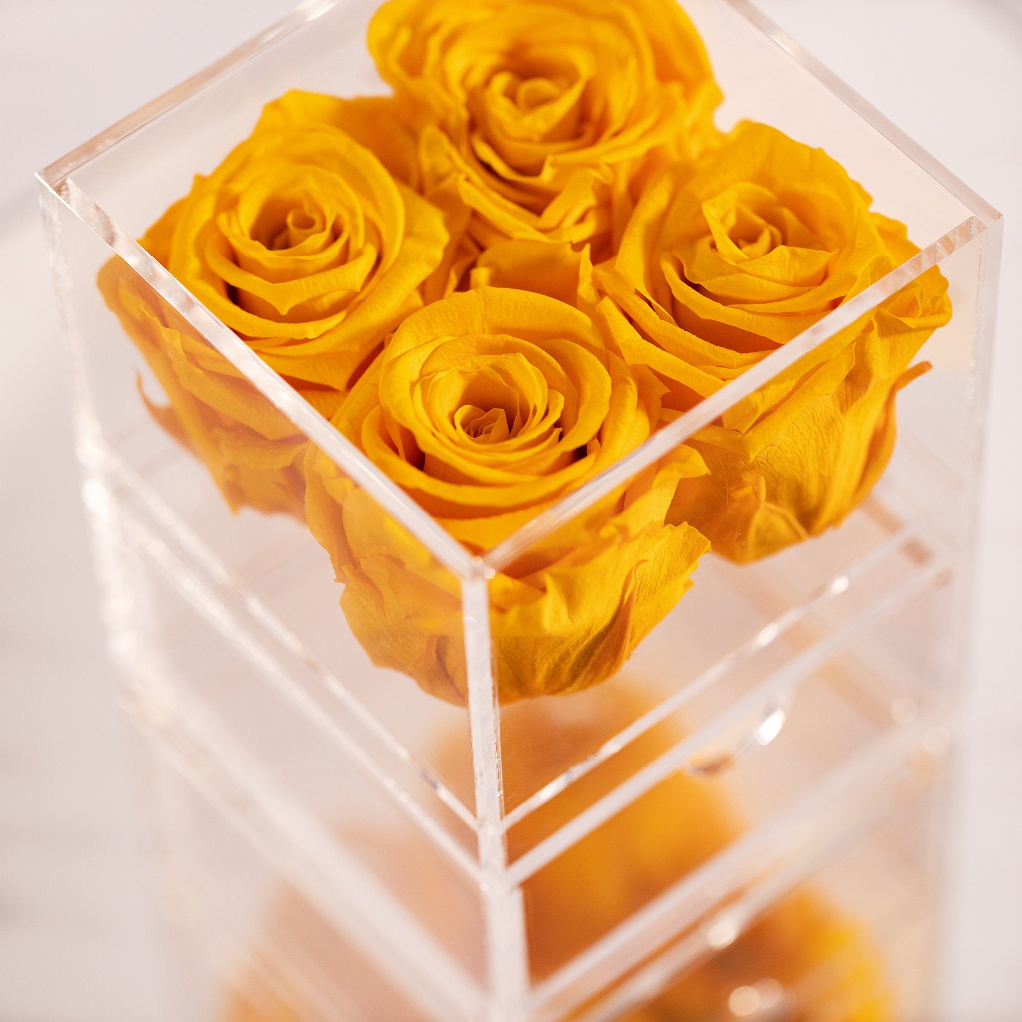 Stunning yellow roses implying happiness and joy 