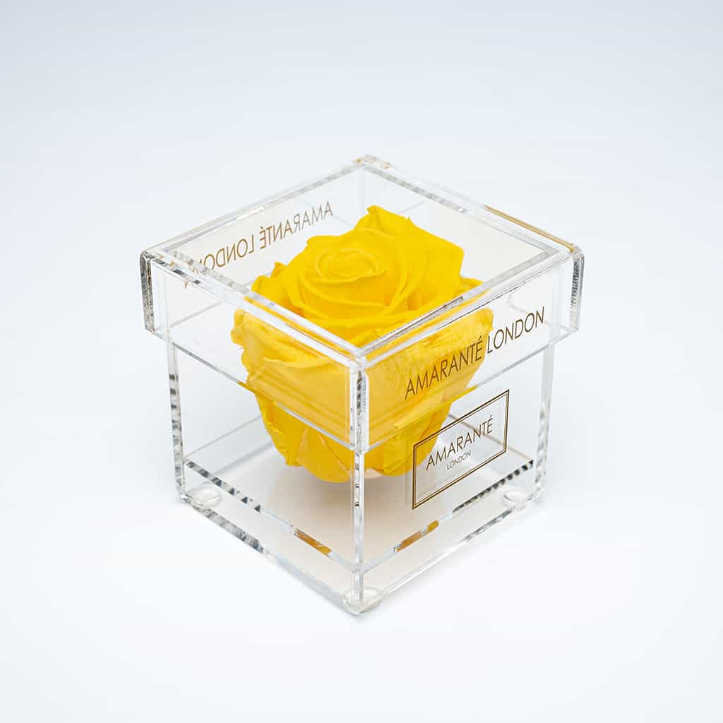 Gift a captivating yellow single infinity rose in a classy acrylic box for Valentine&#39;s Day and other romantic events in your life - Amaranté London.